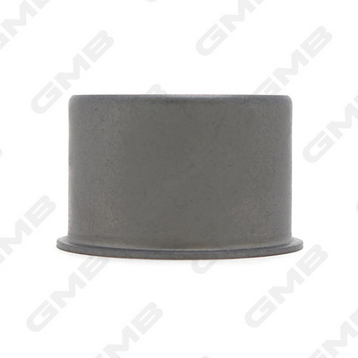 Відвідний/напрямний ролик, зубчастий ремінь GT10110 GMB #1