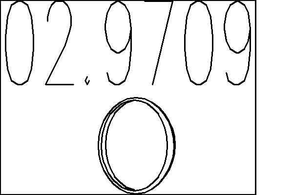 Уплотнительное кольцо, труба выхлопного газа   02.9709   MTS