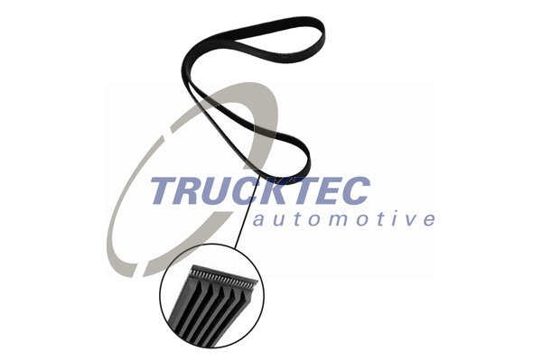 Поликлиновой ремень   02.19.230   TRUCKTEC AUTOMOTIVE