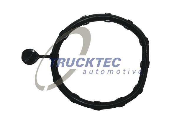 Прокладка, бачок радиатора   02.19.346   TRUCKTEC AUTOMOTIVE