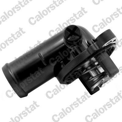 Термостат, охолоджувальна рідина   TH7358.95J   CALORSTAT by Vernet