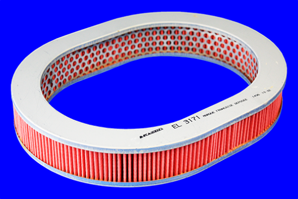 Повітряний фільтр   EL3171   MECAFILTER