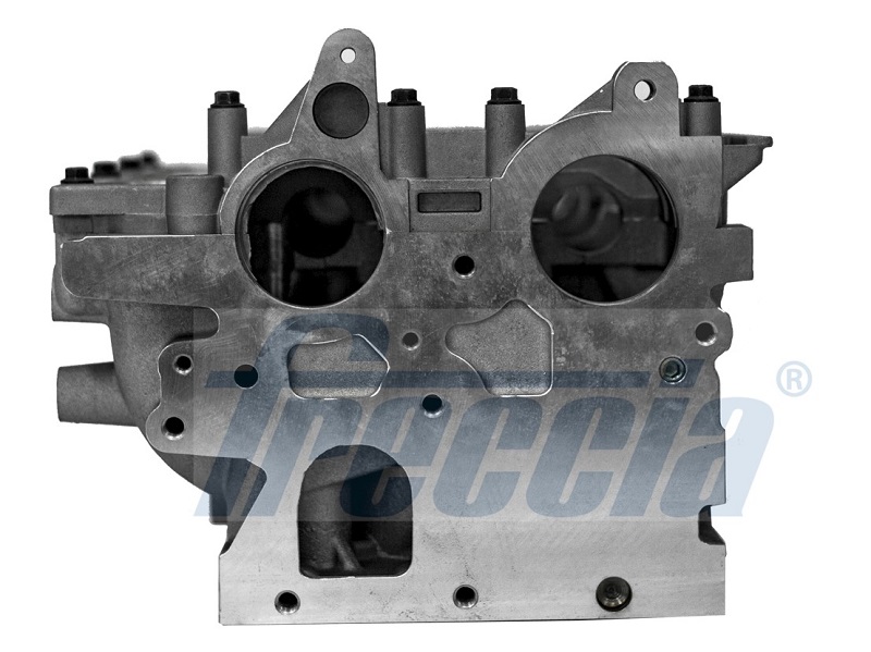 Голівка циліндра CH17-1042 FRECCIA #2