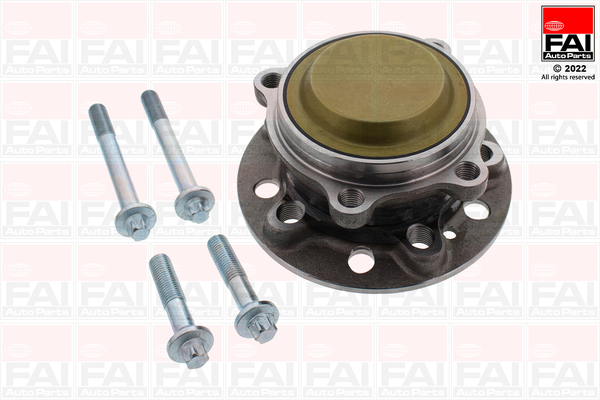 Комплект подшипника ступицы колеса   FHBK1192   FAI AutoParts