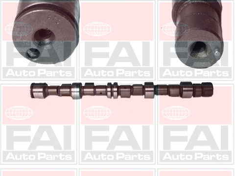 Кулачковий вал   C189   FAI AutoParts