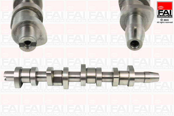 Распредвал   C248C   FAI AutoParts