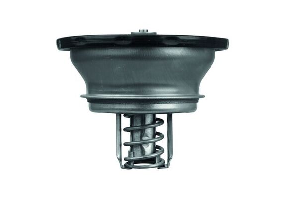 Термостат, охолоджувальна рідина THD 3 82 MAHLE #1