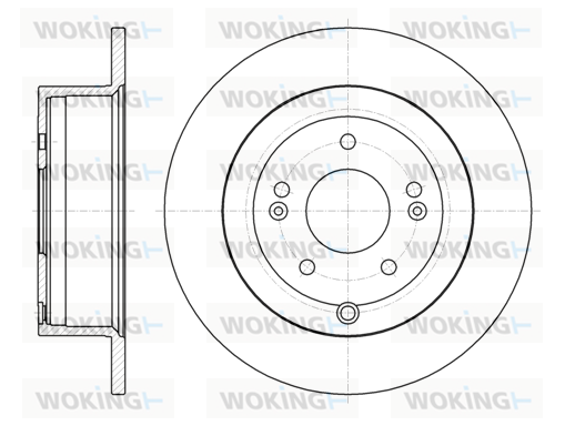 Гальмівний диск, WOKING D61106.00 Гальмівний диск, WOKING D61106.00
