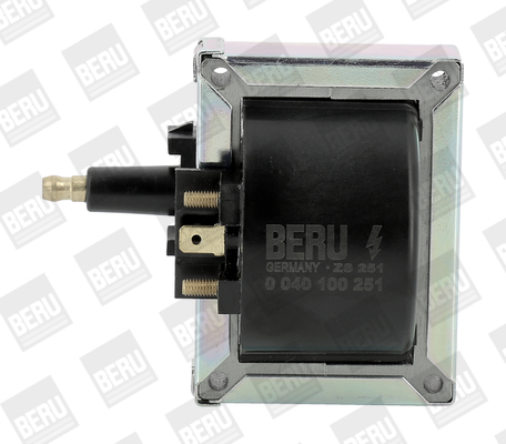 Катушка зажигания   ZS251   BorgWarner (BERU)