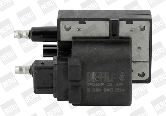 Катушка зажигания   ZS254   BorgWarner (BERU)