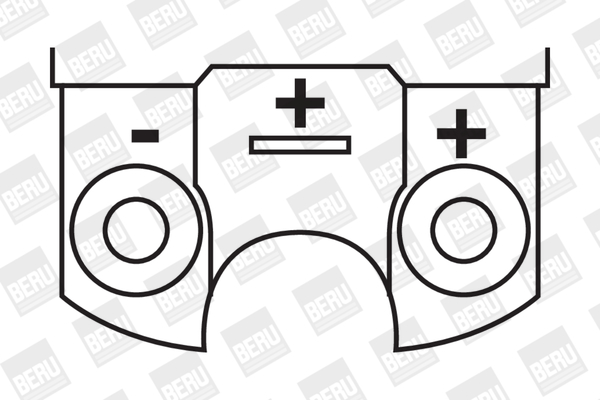 Котушка запалювання ZS316 BorgWarner (BERU) #1