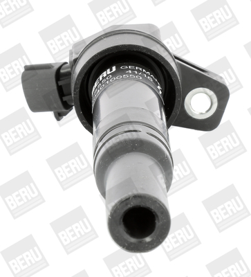 Котушка запалювання ZS550 BorgWarner (BERU) #1
