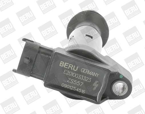 Котушка запалювання   ZS557   BorgWarner (BERU)