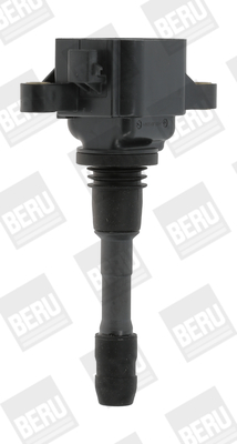 Катушка зажигания   ZSE066   BorgWarner (BERU)