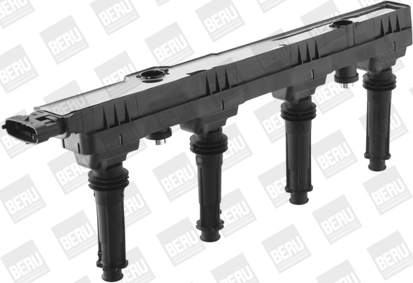 Котушка запалювання ZSE150 BorgWarner (BERU) #1