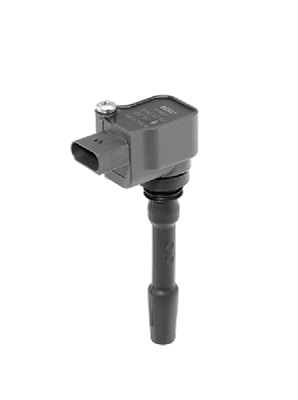 Катушка зажигания ZSE163 BorgWarner (BERU) #2