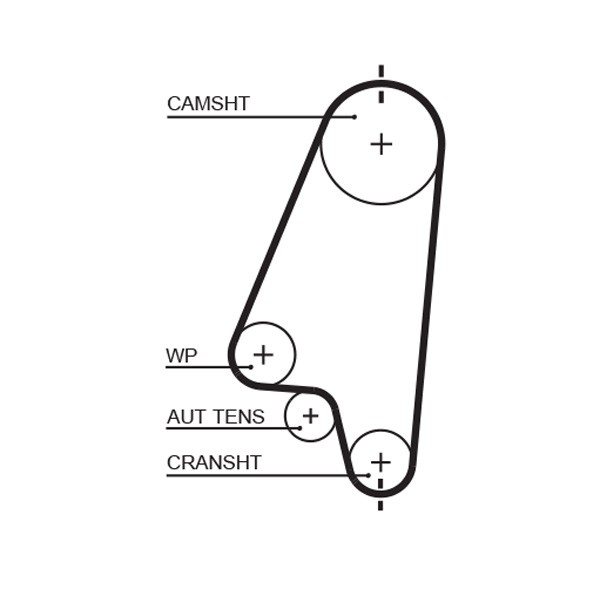 Зубчастий ремінь   5310XS   GATES