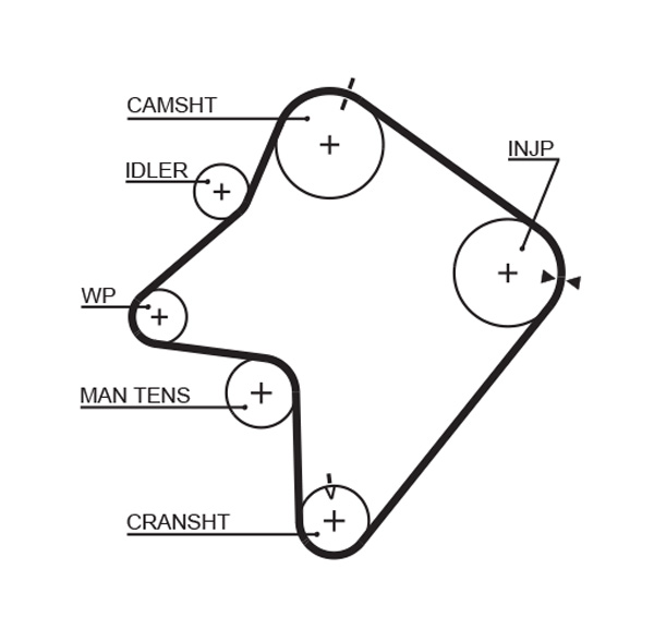 Зубчастий ремінь   5354XS   GATES