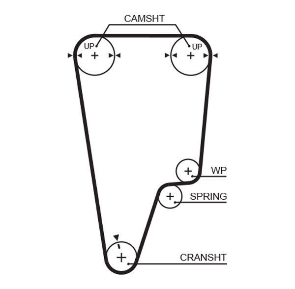 Зубчатый ремень   5505XS   GATES