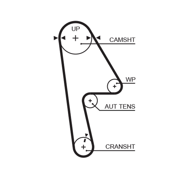 Зубчатый ремень   5593XS   GATES