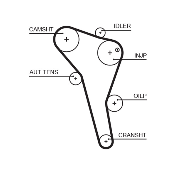 Зубчатый ремень   5622XS   GATES