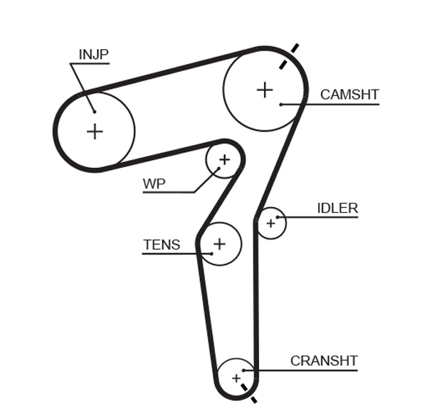 Зубчатый ремень   5650XS   GATES