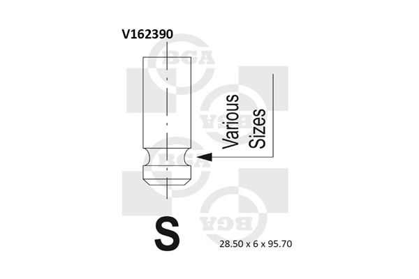 Впускний клапан   V162390   BGA