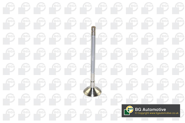 Випускний клапан   V122042   BGA