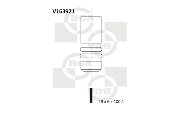 Выпускной клапан   V163921   BGA