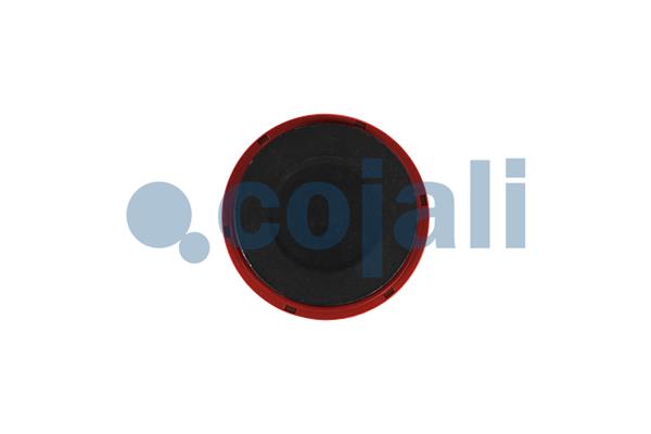 Ремонтний комплект, гальмівний супорт 6084001 COJALI #1