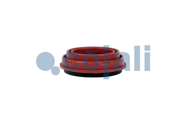 Ремонтний комплект, гальмівний супорт 6084001 COJALI #2