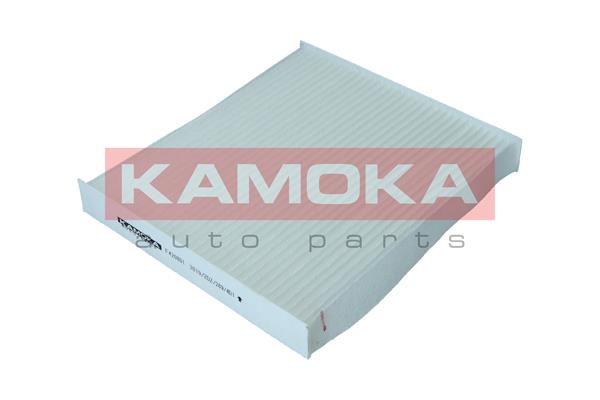 Фільтр, повітря у салоні F420801 KAMOKA #1