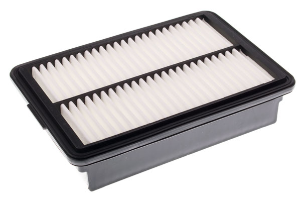 Воздушный фильтр A142095 DENCKERMANN #1