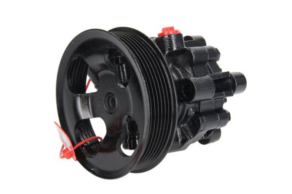 Гідравлічний насос, механізм рульового керування   55.6095   LAUBER