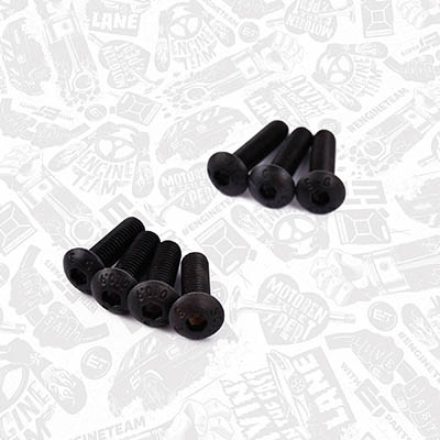 Ремонтний комплект, вакуумний насос (гальмівна установка) TM0025 ET ENGINETEAM #3