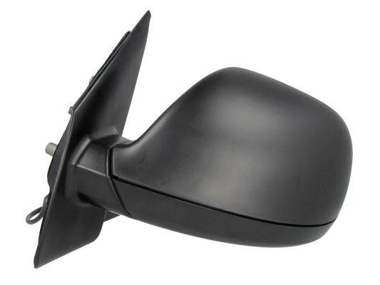 Наружное зеркало 5402-01-039365P BLIC #1