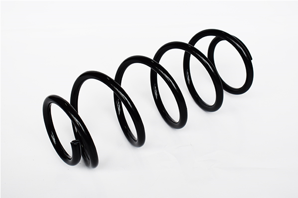 Пружина ходовой части   73735   ASAM