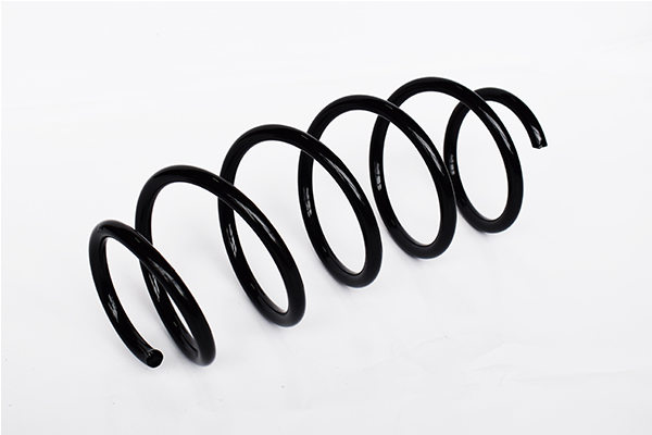 Ресора ходової частини   73737   ASAM