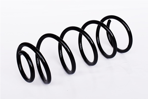 Ресора ходової частини   73752   ASAM