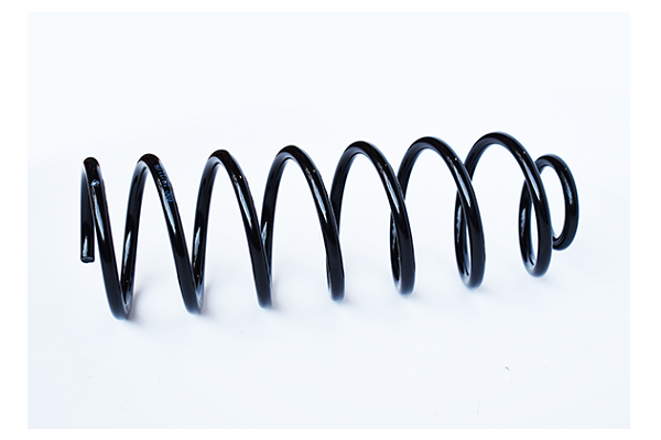 Ресора ходової частини   73762   ASAM