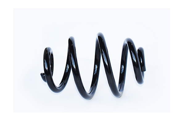 Ресора ходової частини   73791   ASAM