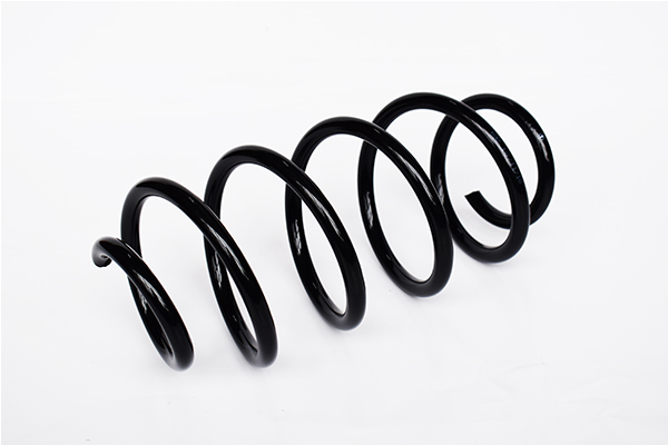 Ресора ходової частини   73803   ASAM