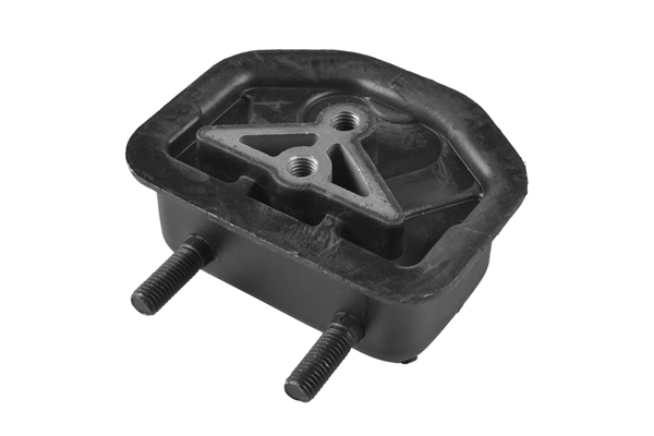 Подвеска, двигатель 00162107 TEDGUM #1