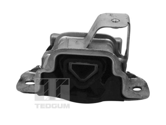 Опора, двигун 00219590 TEDGUM #2