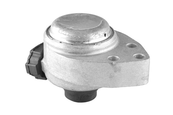 Опора, двигун 00226428 TEDGUM #1