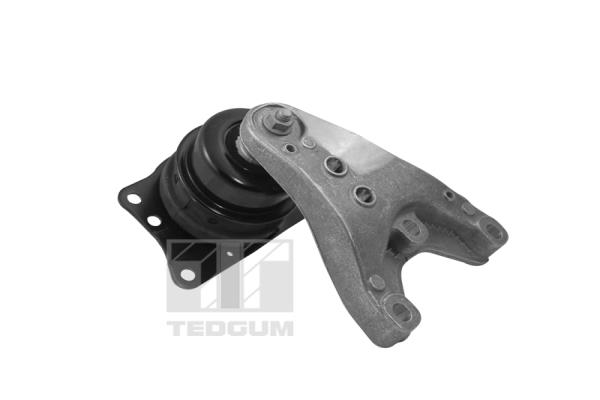 Опора, двигун   00729405   TEDGUM