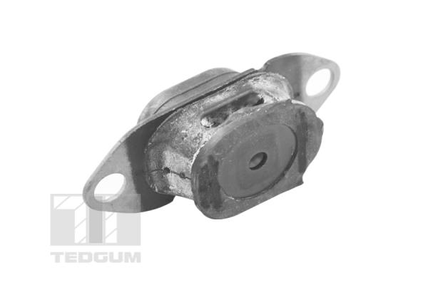 Подвеска, двигатель TED46913 TEDGUM #2