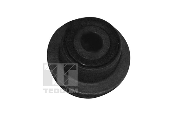 Подвеска, рычаг независимой подвески колеса 00729615 TEDGUM #1