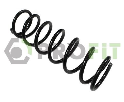 Ресора ходової частини   2010-2046   PROFIT