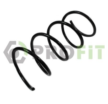 Пружина ходовой части   2010-2055   PROFIT